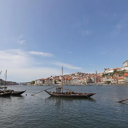 Flh Boavista Wooden Porto