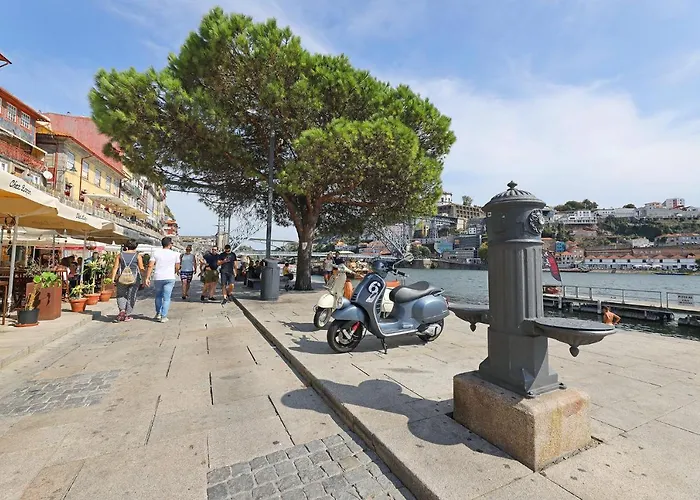 Flh Boavista Wooden Apartment Porto